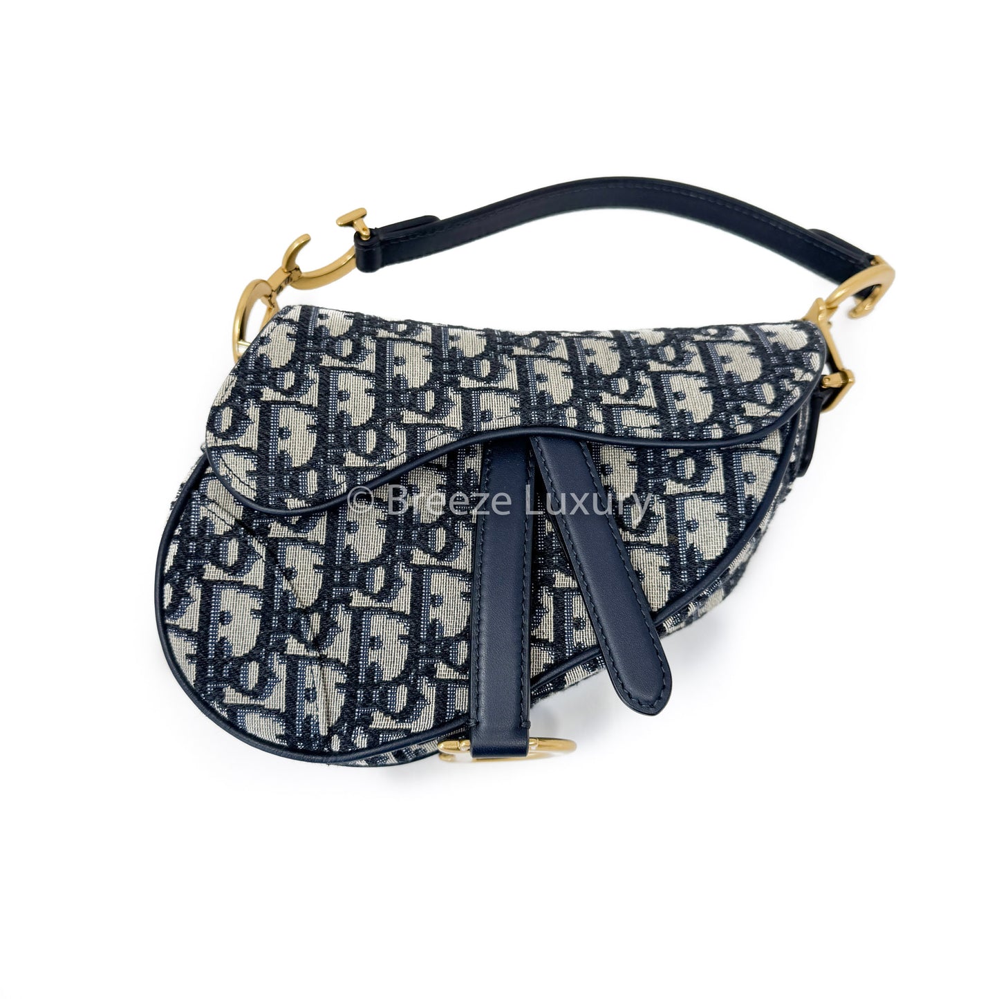 Christian Dior Mini Saddle bag