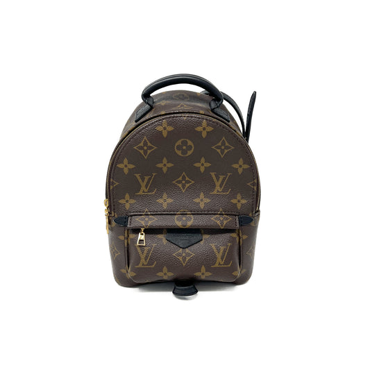 Louis Vuitton Palm Springs Mini Backpack