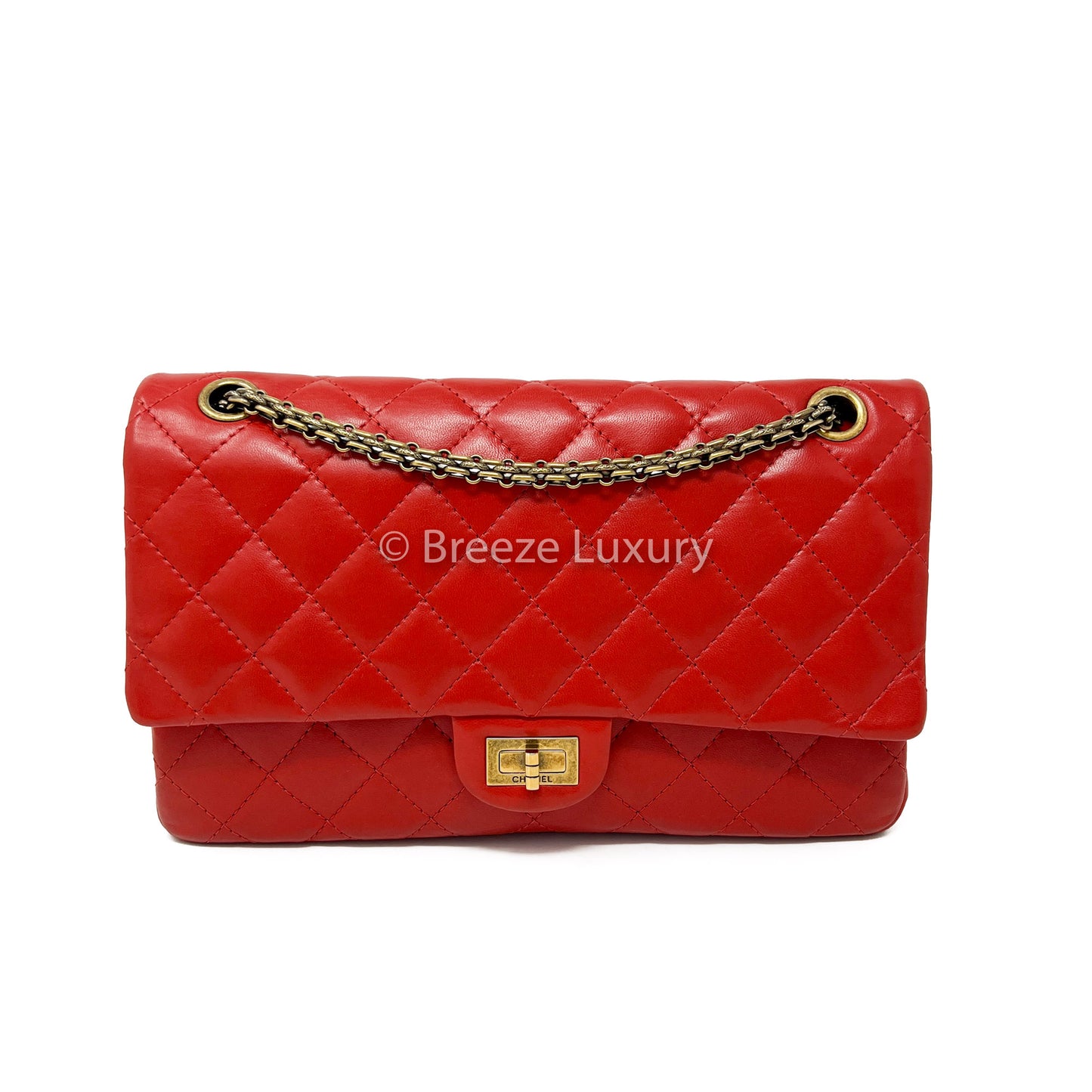 Chanel 2.55 Reissue Quilted Classic Double Flap Bag (Size 226)