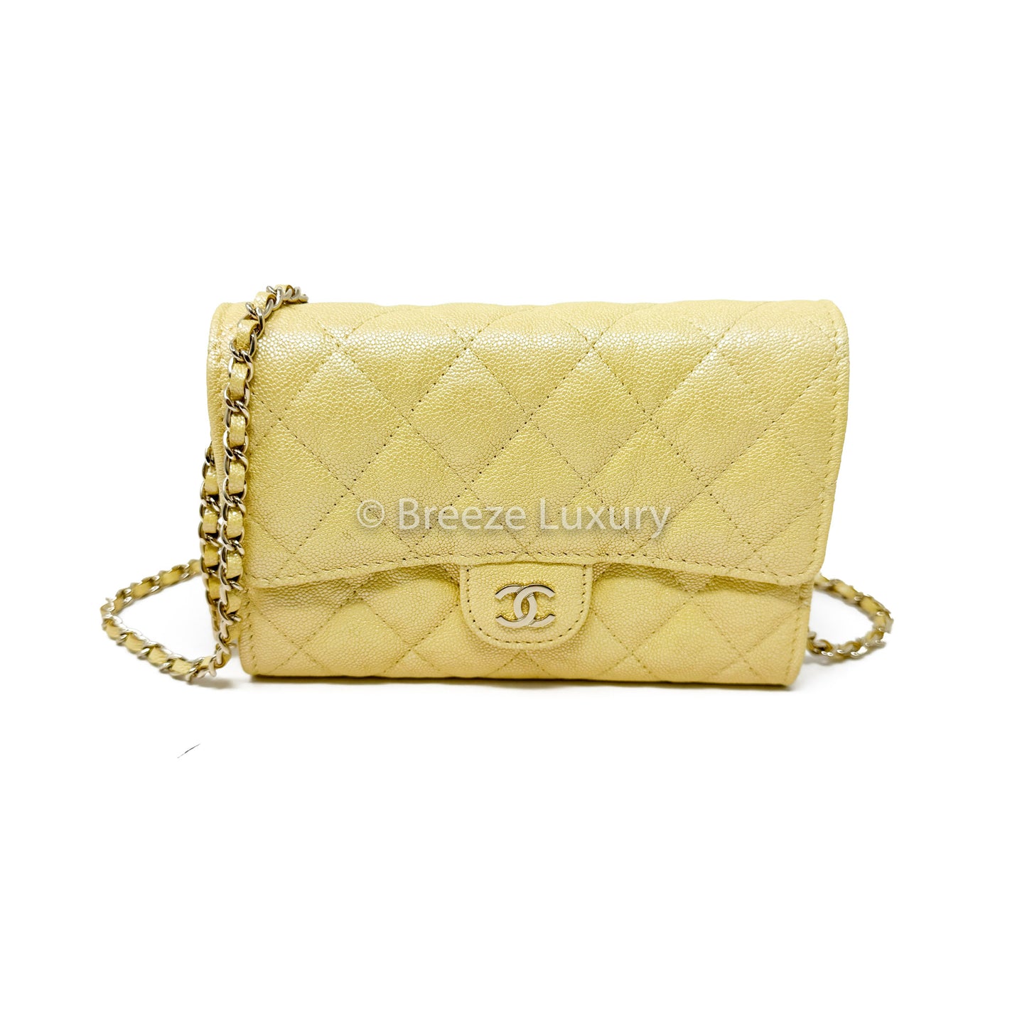 Chanel Mini Wallet on Chain