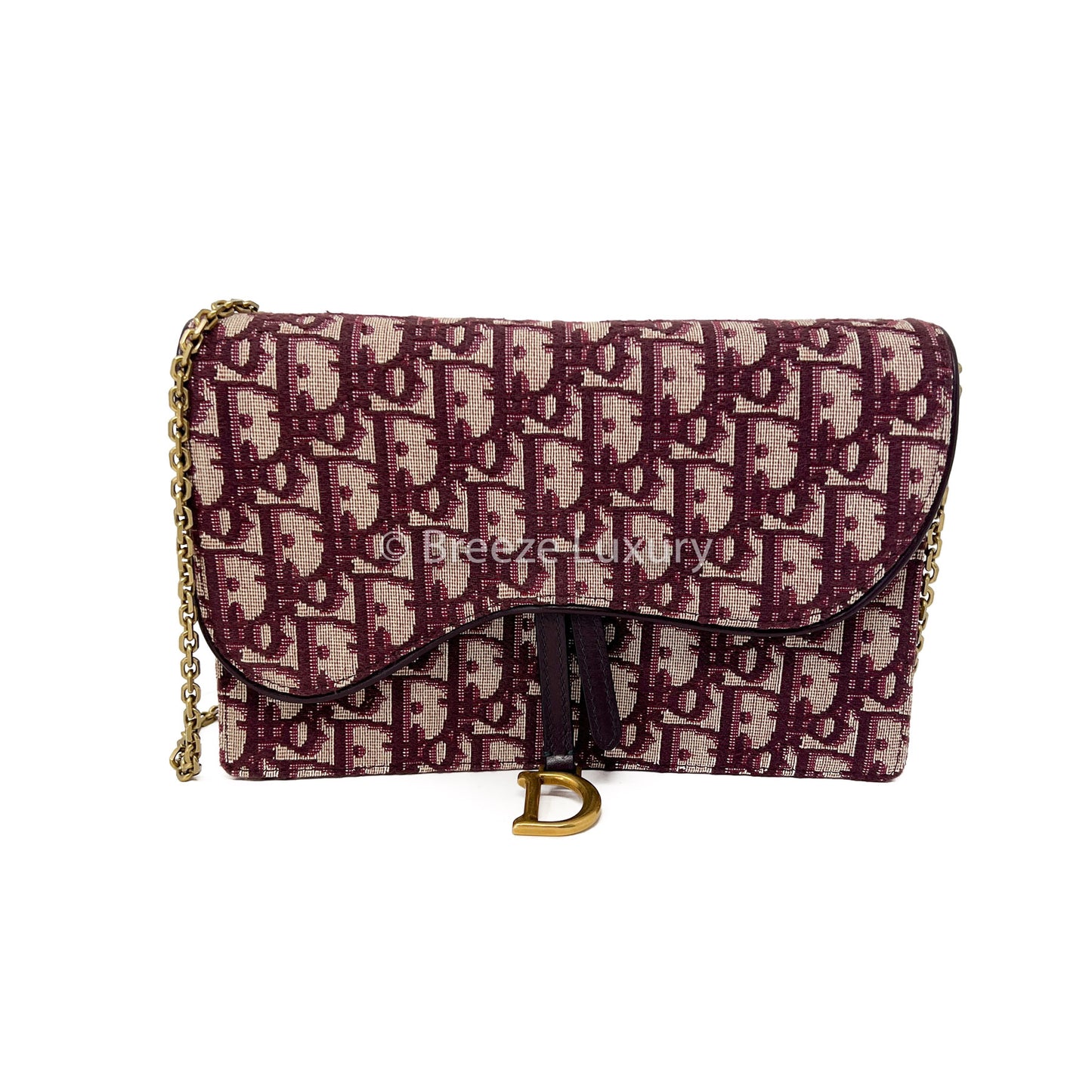 Christian Dior Saddle Pouch with Chain