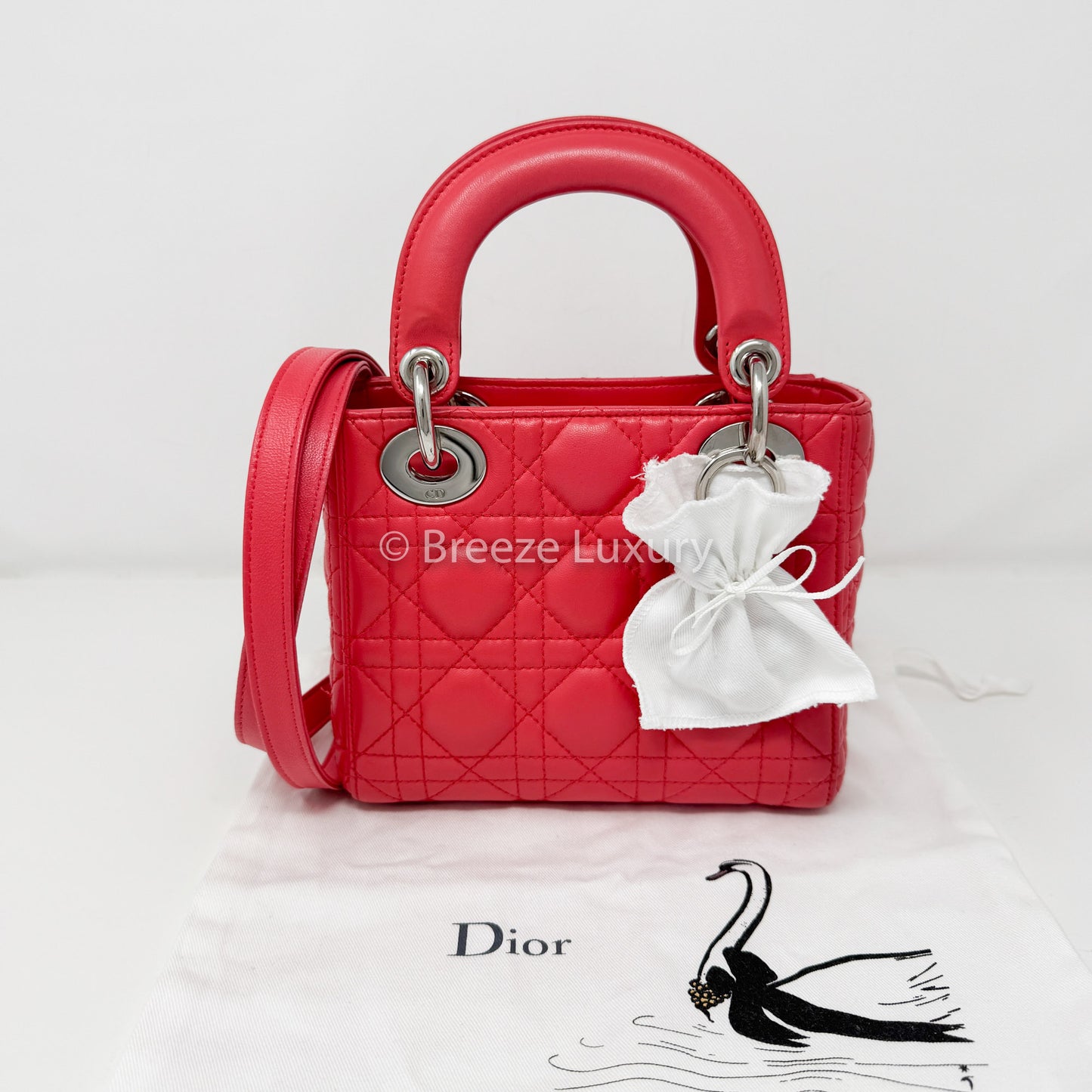 Christian Dior Mini Lady Dior
