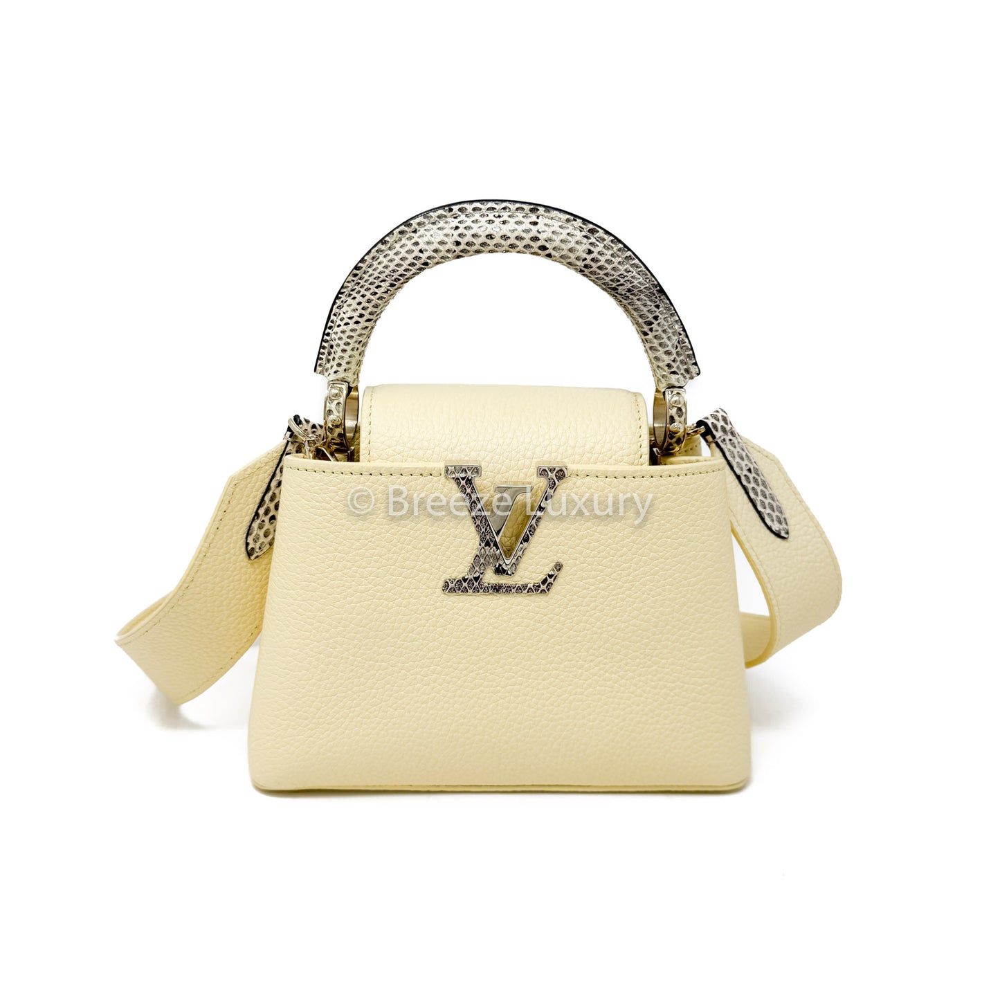 Louis Vuitton Taurillon Mini Capucines