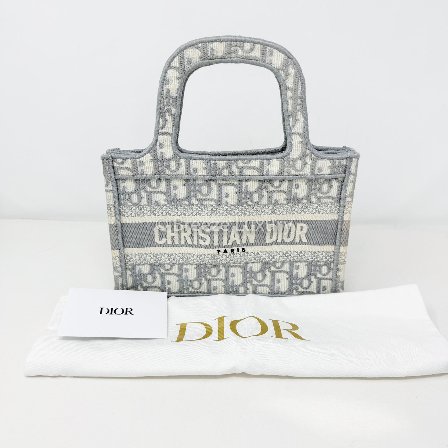 Christian Dior Mini Book tote