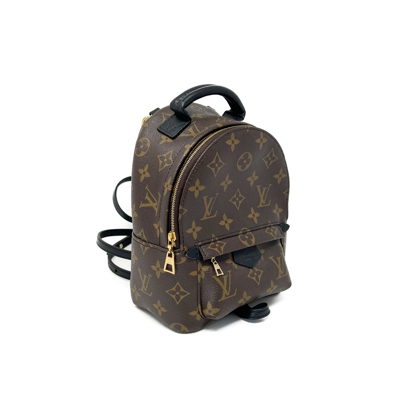 Louis Vuitton Palm Springs Mini Backpack