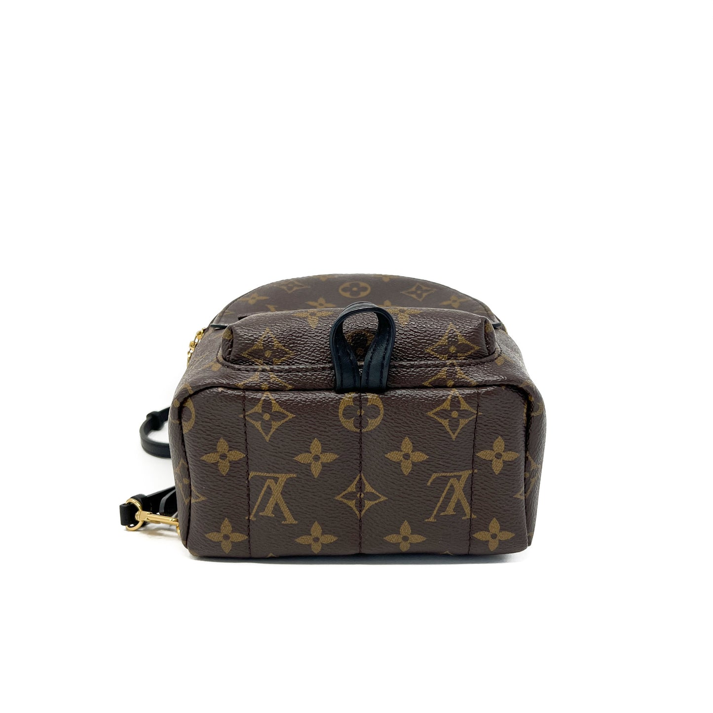Louis Vuitton Palm Springs Mini Backpack