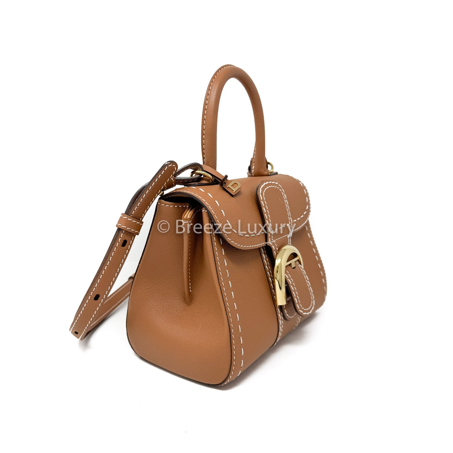 Delvaux Brown Brillant Mini Bag