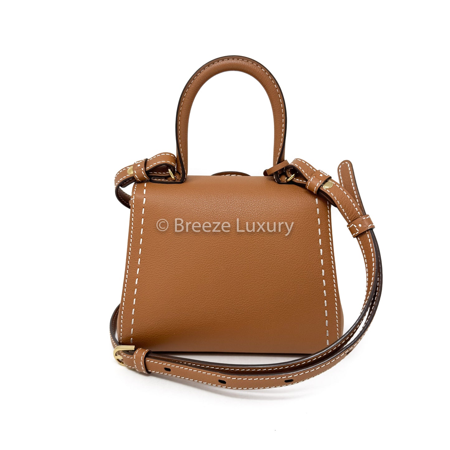 Delvaux Brown Brillant Mini Bag