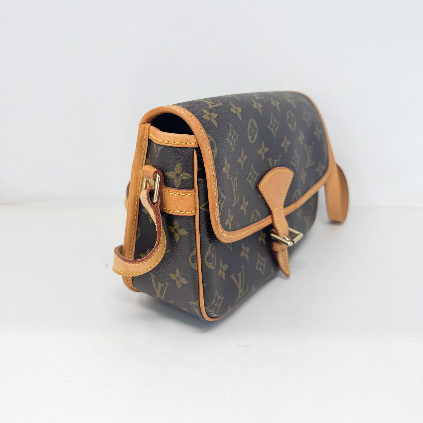 Louis Vuitton Monogram Canvas Sologne Bag