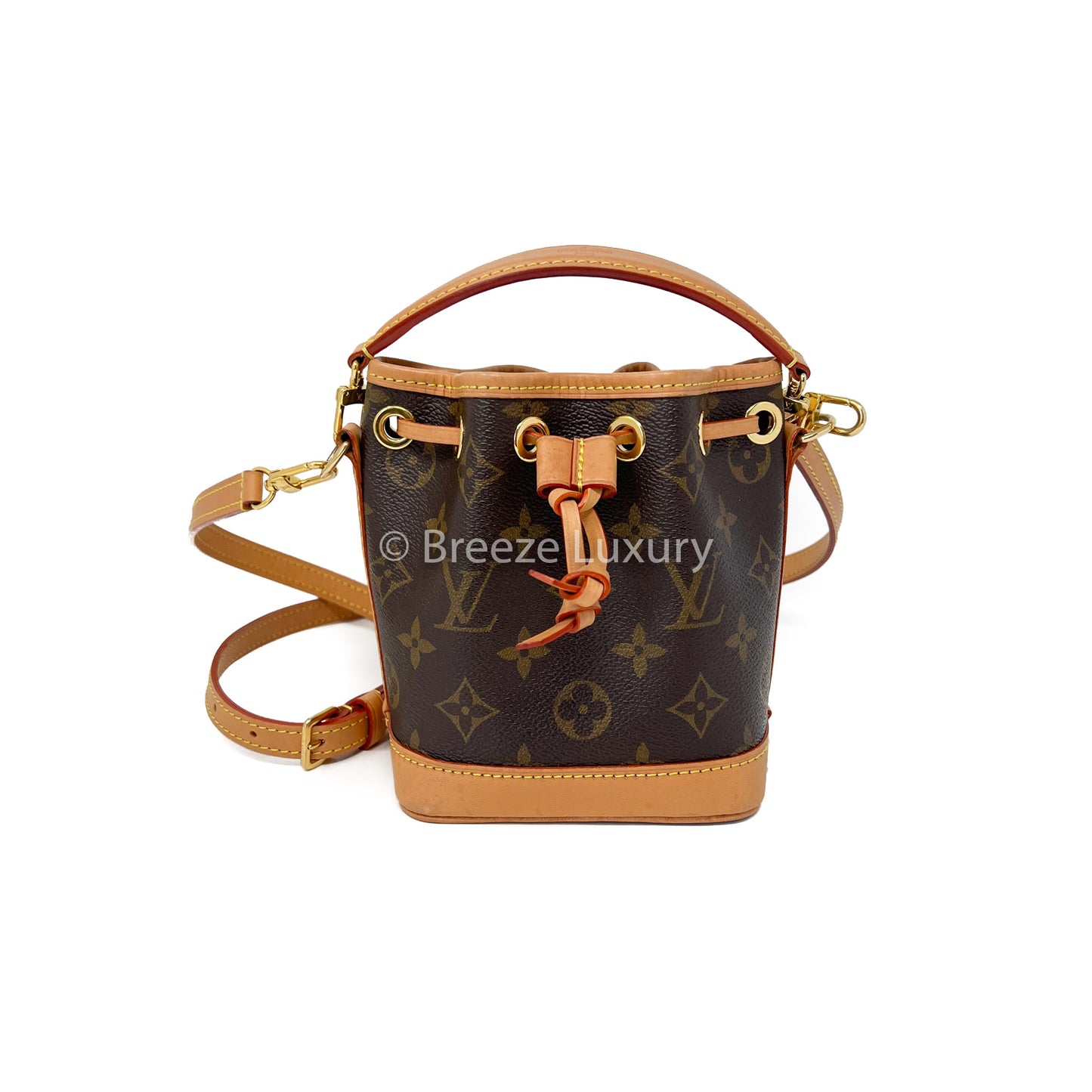 Louis Vuitton Monogram Nano Noe