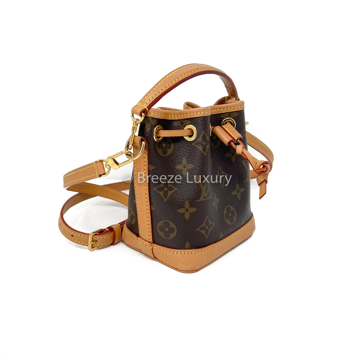 Louis Vuitton Monogram Nano Noe