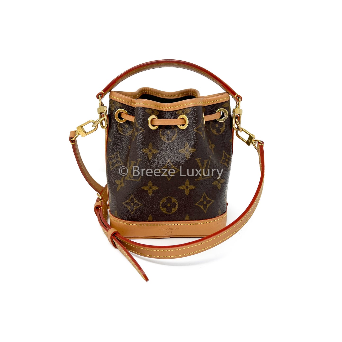 Louis Vuitton Monogram Nano Noe
