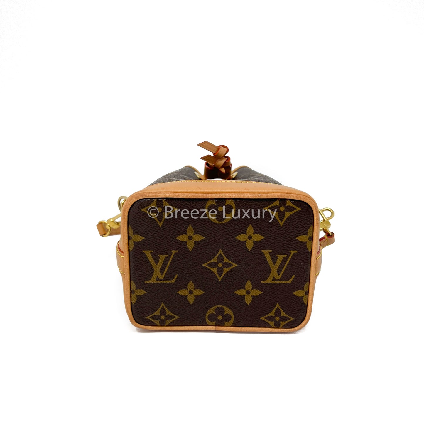 Louis Vuitton Monogram Nano Noe