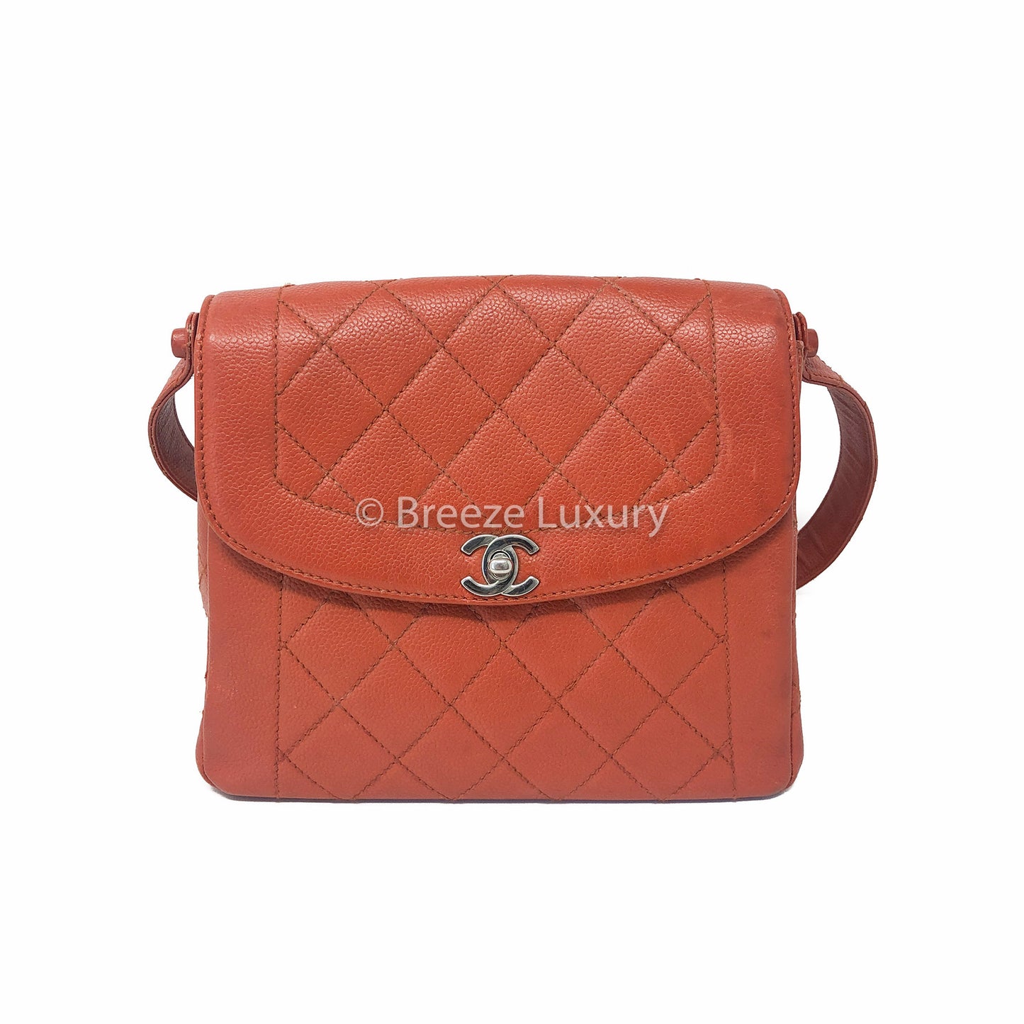 Chanel Vintage Quilted CC Flap